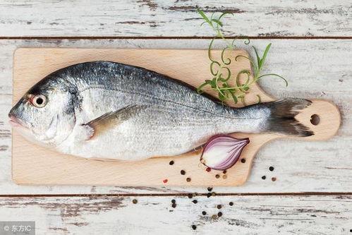 网红吃八瓜鱼视频,口感独特引网友热议！  第3张